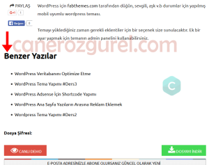 wordpress-benzer-yazilar
