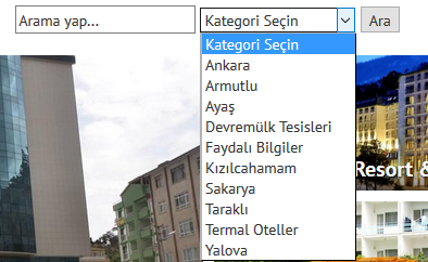 Görünümü.